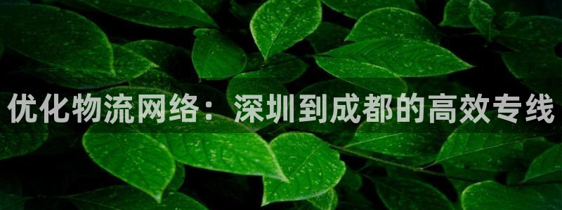 28圈游戏官网版：优化物流网络：深圳