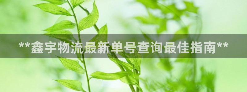 28圈入口问一问：**鑫宇物流最新单