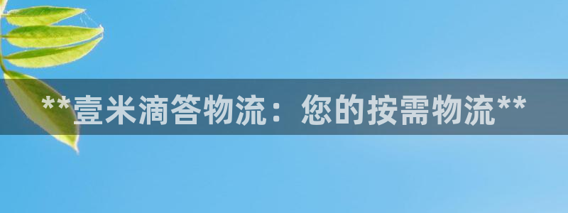 28圈充值：**壹米滴答物流：您的按