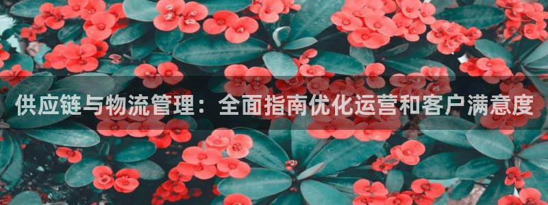 28圈正规吗?：供应链与物流管理：全